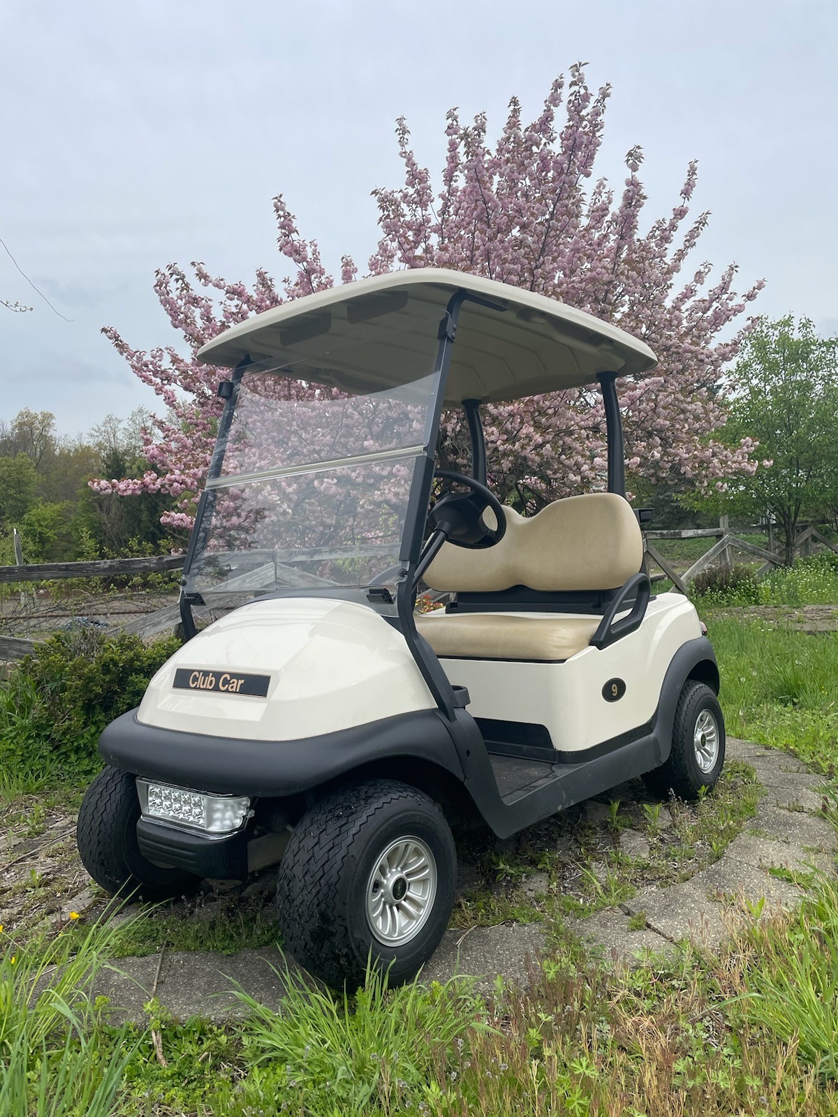 Rent the 2 Seater Golf Cart Gas Rockland Golf Carts