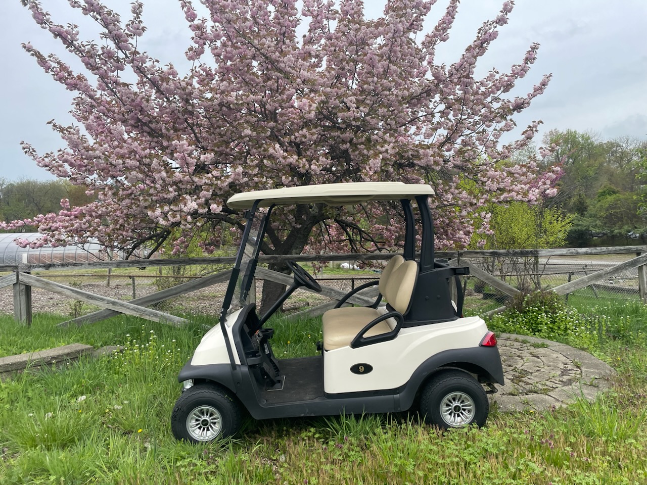 Rent the 2 Seater Golf Cart Gas Rockland Golf Carts