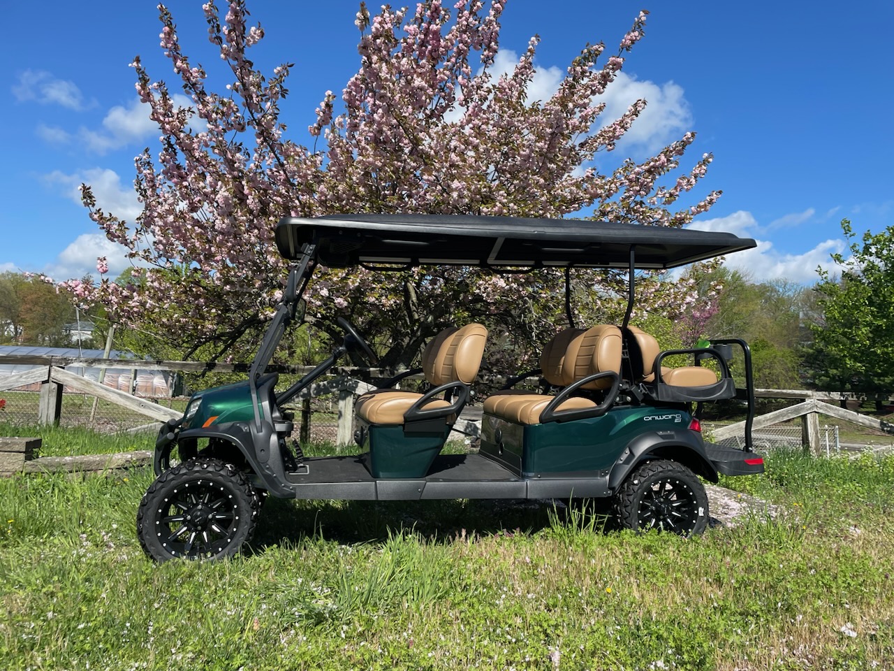 Rent the 6 Seater Golf Cart Gas Rockland Golf Carts